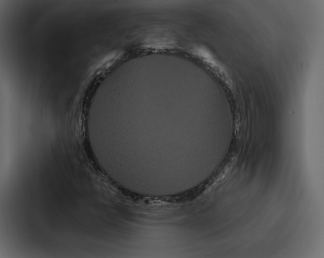 X0000086791398200705111806