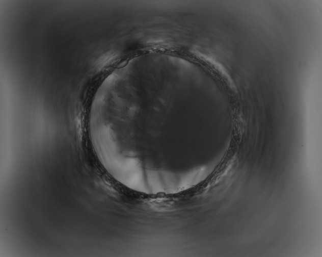 X0000086791399200705111806