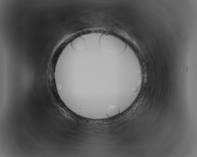 X0000086791400200705111806