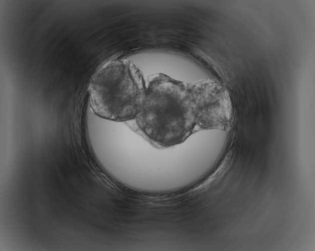 X0000086791401200705111806