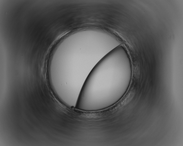 X0000086791402200705111806