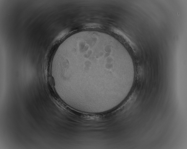 X0000086791403200705111806