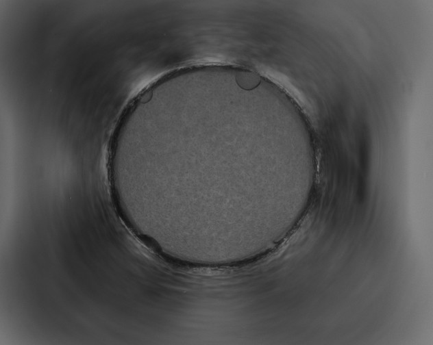 X0000086791404200705111806