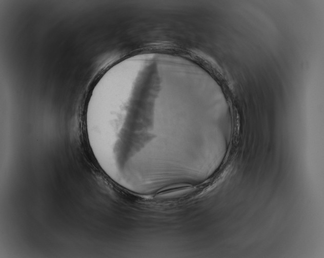 X0000086791405200705111806