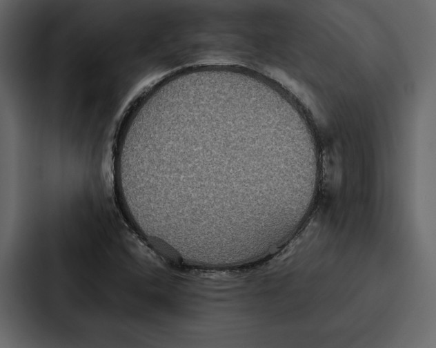 X0000086791408200705111806