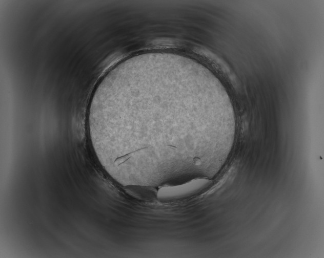 X0000086791409200705111806