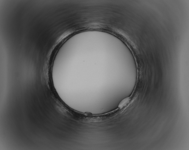 X0000086791410200705111806