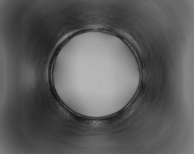 X0000086791412200705111806