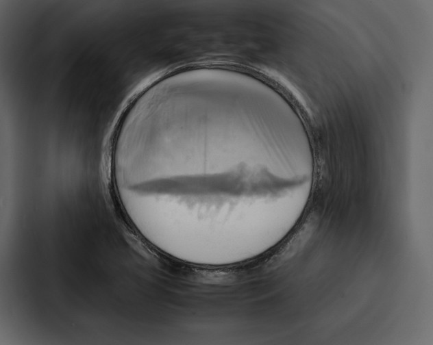 X0000086791413200705111806