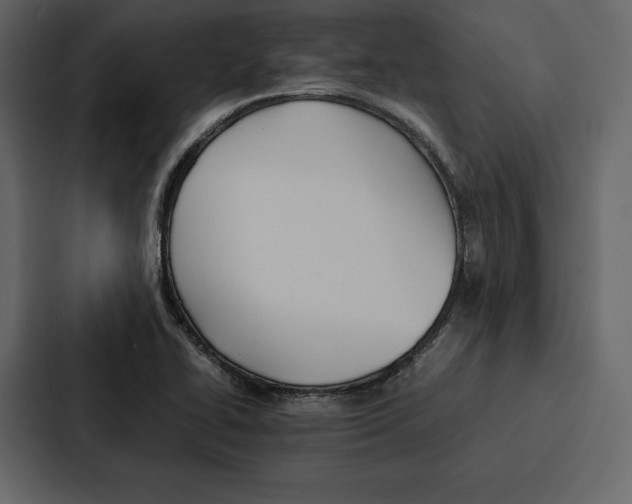 X0000086791414200705111806