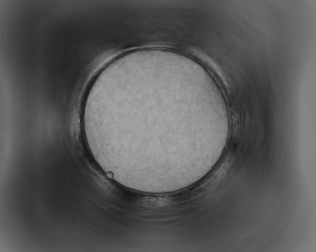 X0000086791415200705111806