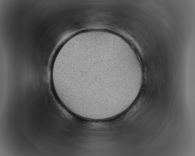 X0000086791416200705111806