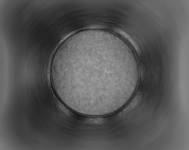 X0000086791417200705111806