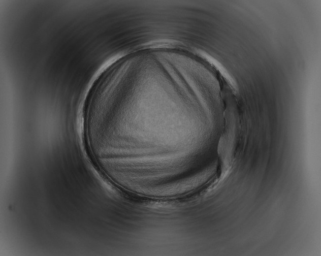 X0000086791418200705111806