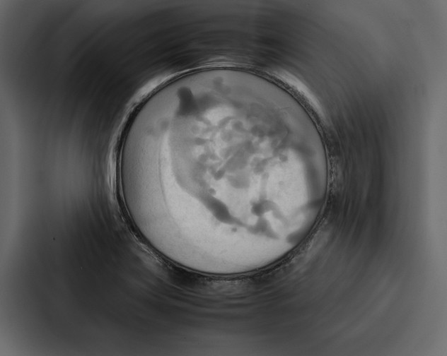 X0000086791419200705111806