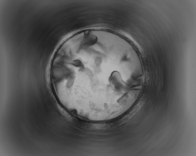 X0000086791421200705111806