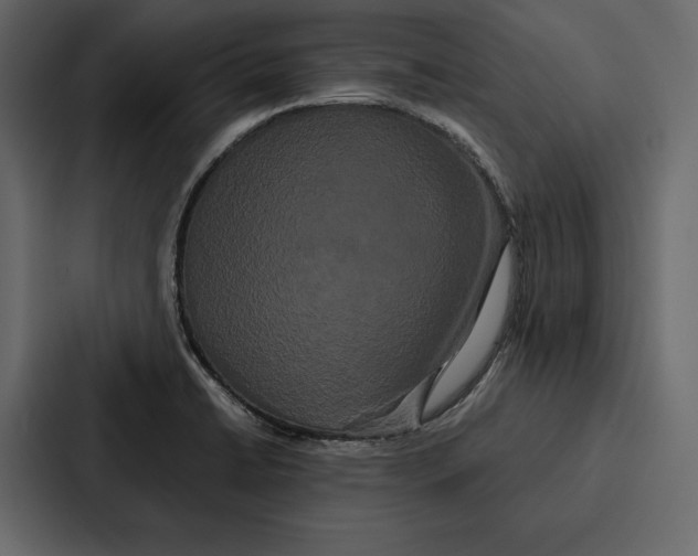 X0000086791422200705111806