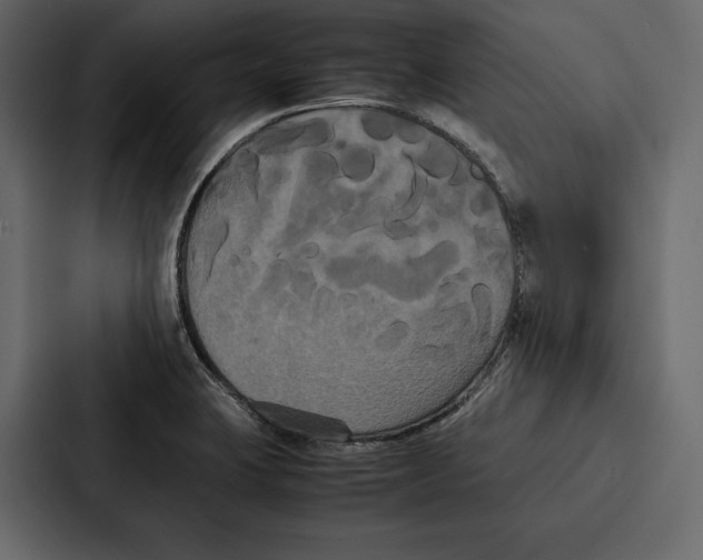 X0000086791423200705111806