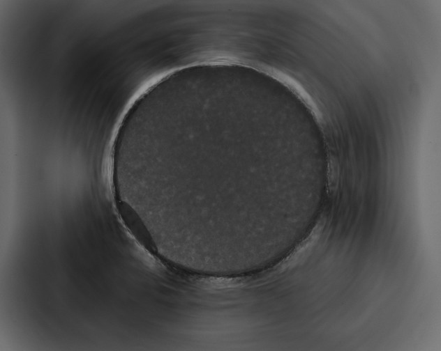 X0000086791424200705111806