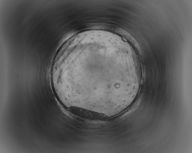 X0000086791425200705111806