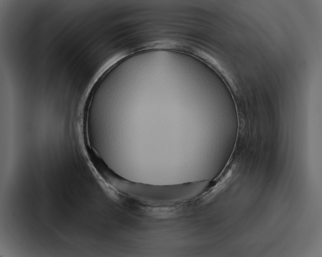 X0000086791426200705111806