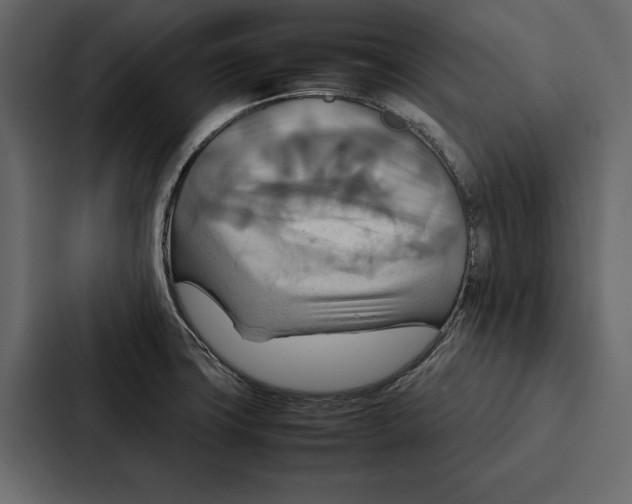 X0000086791427200705111806