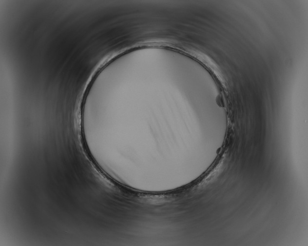 X0000086791428200705111806