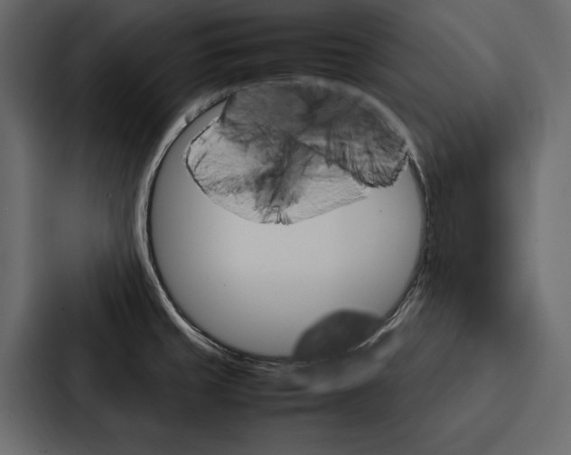 X0000086791429200705111806