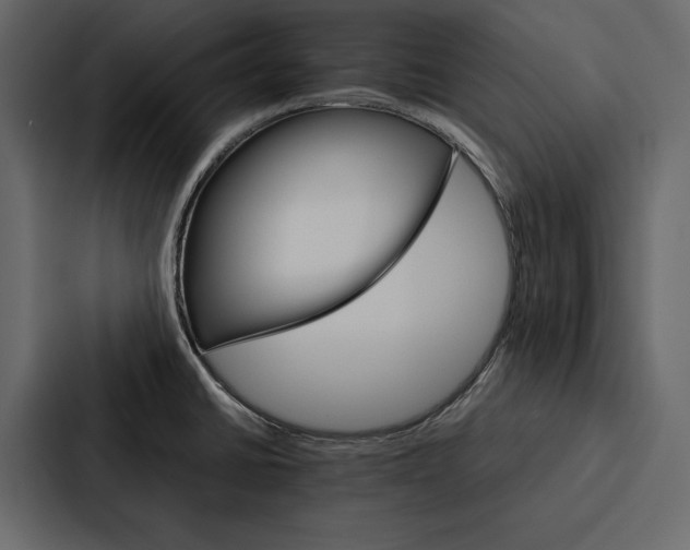 X0000086791430200705111806