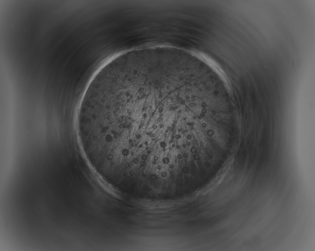 X0000086791431200705111806