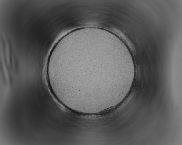 X0000086791432200705111806