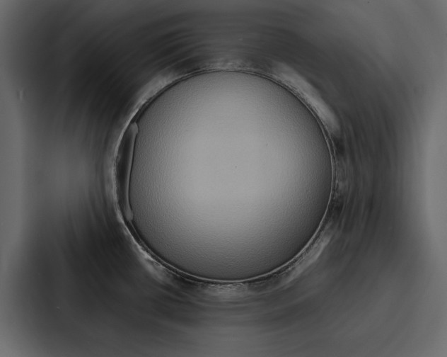 X0000086791434200705111806