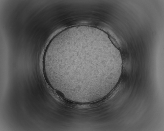 X0000086791435200705111806