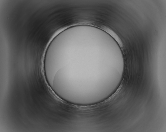 X0000086791436200705111806