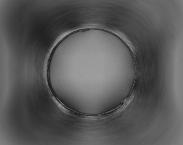 X0000086791438200705111806