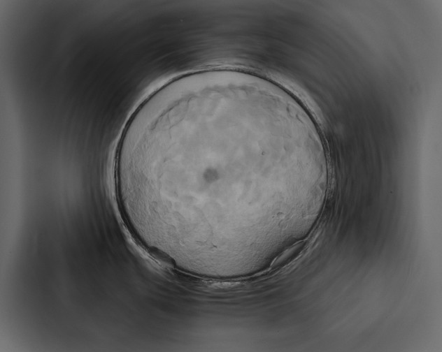 X0000086791439200705111806