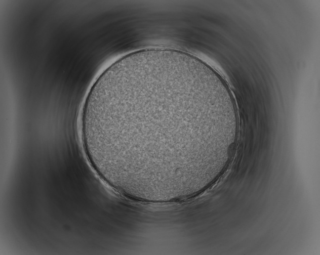 X0000086791440200705111806