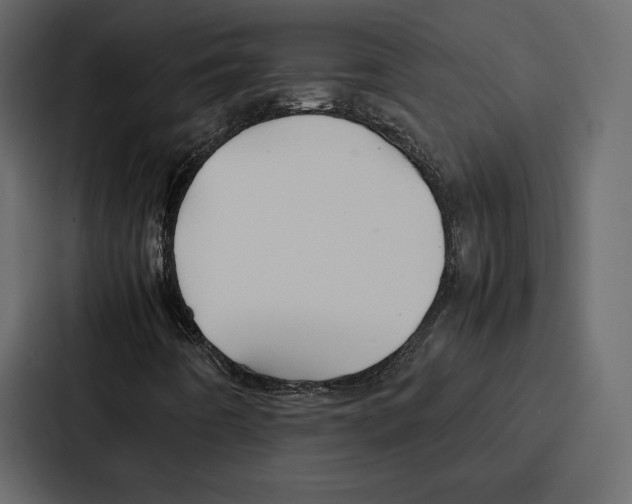 X0000086791442200705111806