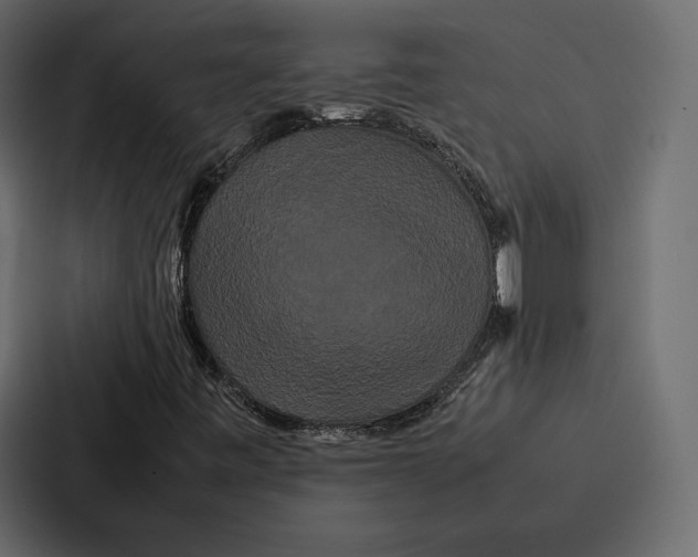 X0000086791443200705111806