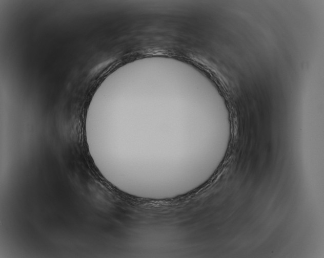 X0000086791446200705111806