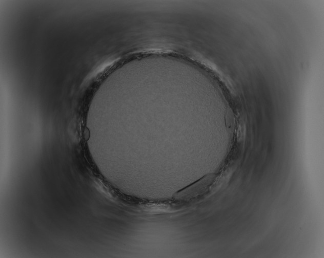 X0000086791448200705111806