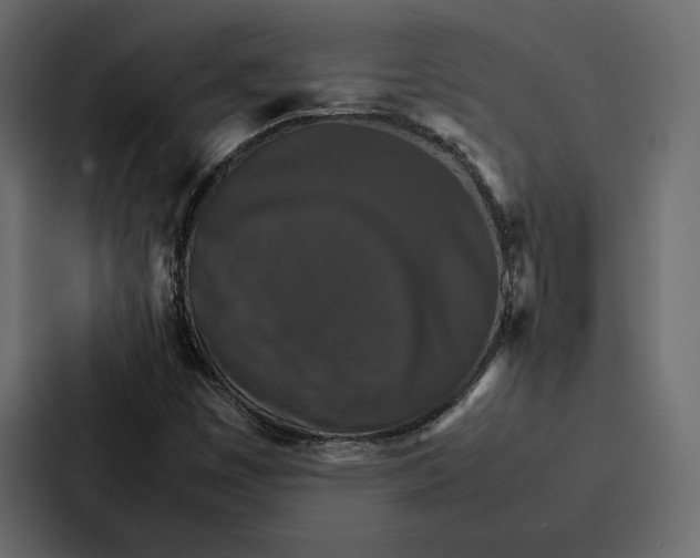 X0000086791449200705111806