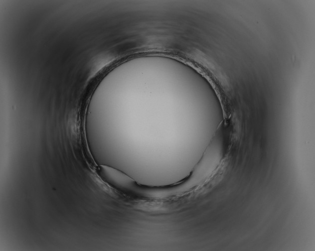 X0000086791450200705111806