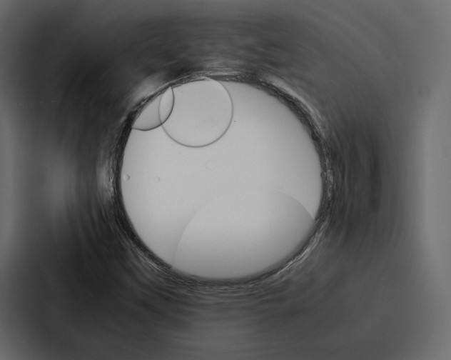 X0000086791451200705111806