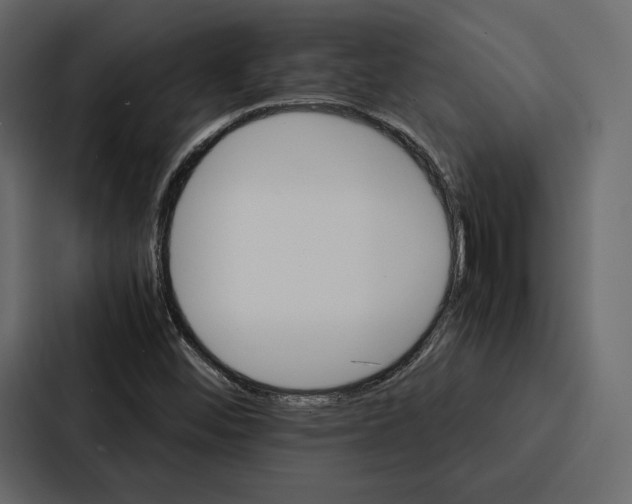 X0000086791452200705111806