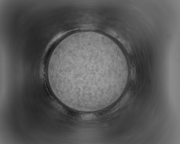 X0000086791454200705111806