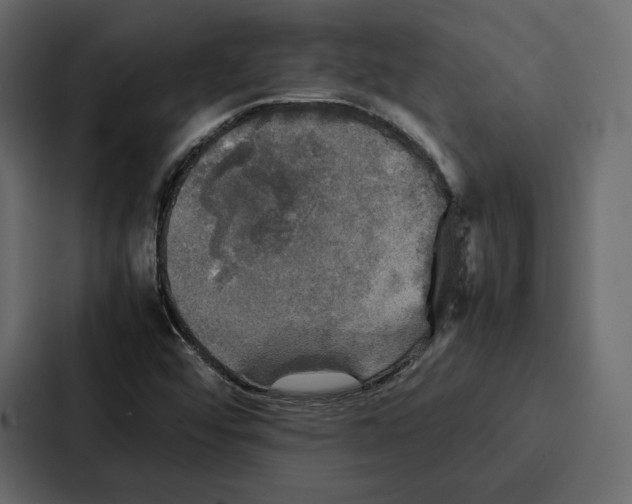 X0000086791456200705111806