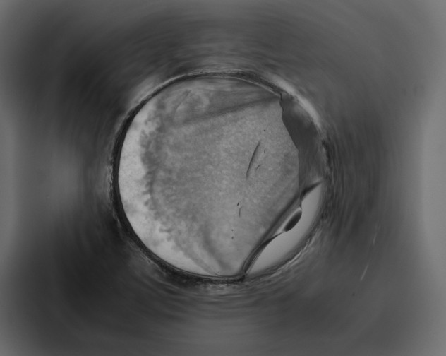 X0000086791459200705111806