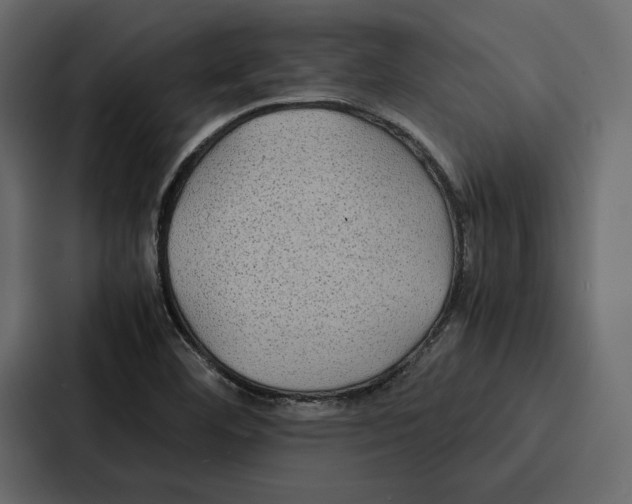 X0000086791460200705111806