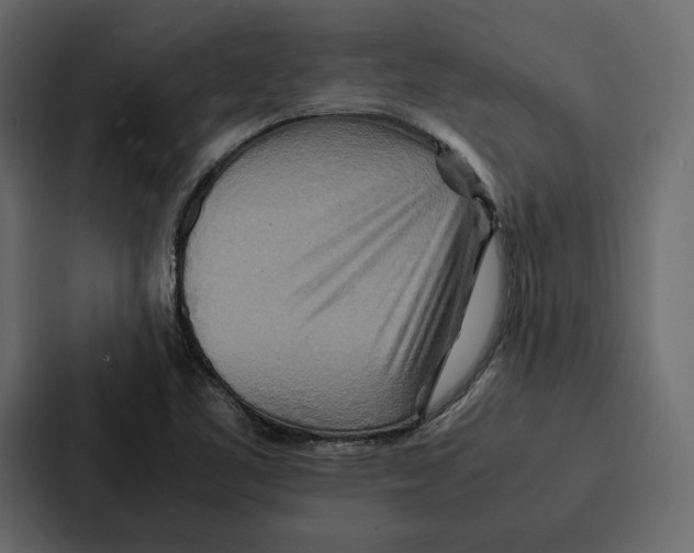 X0000086791461200705111806